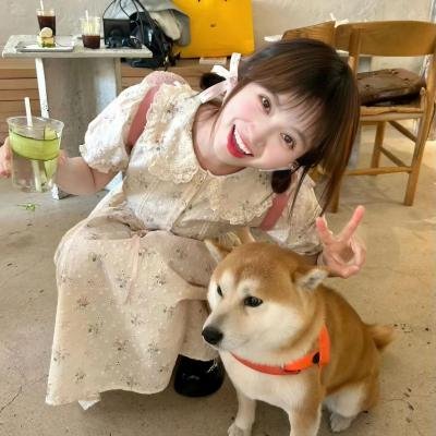 我是海鸥